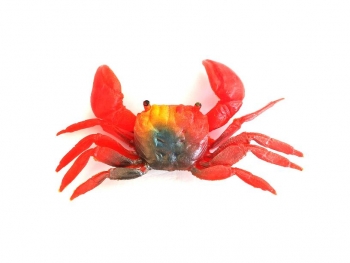 YAMASHITA CRAB