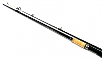 Daiwa Rod Immotec Spin