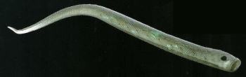 STORM NATURISTIC WILDEYE SAND EEL 10CM