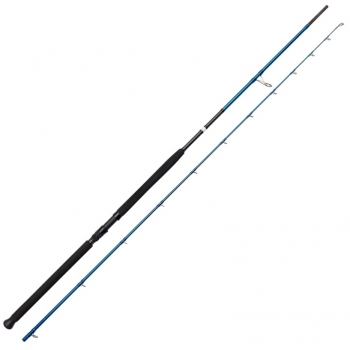 SGS2 Shore Jigging 20-80gr 2.90m - Savage Gear Rod