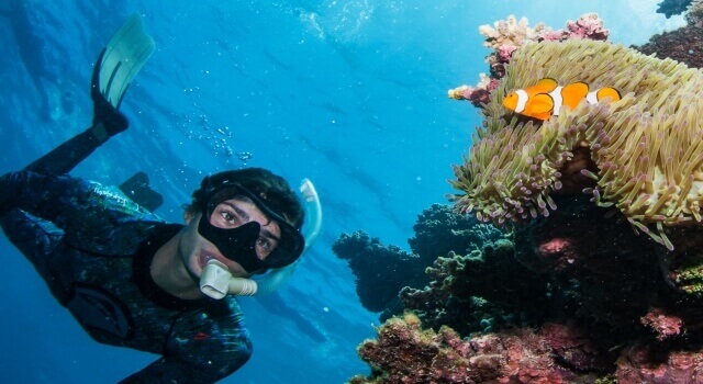 snorkelling