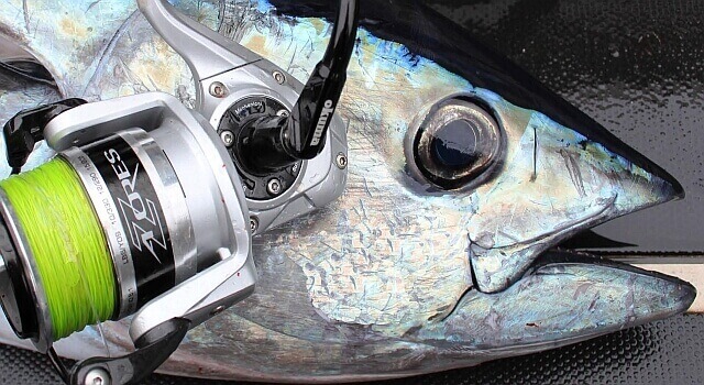 jigging